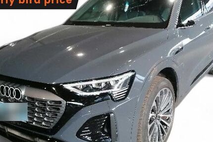 Audi Q8 e-tron 28.909 km 54.985 &euro; Ergolding 84030