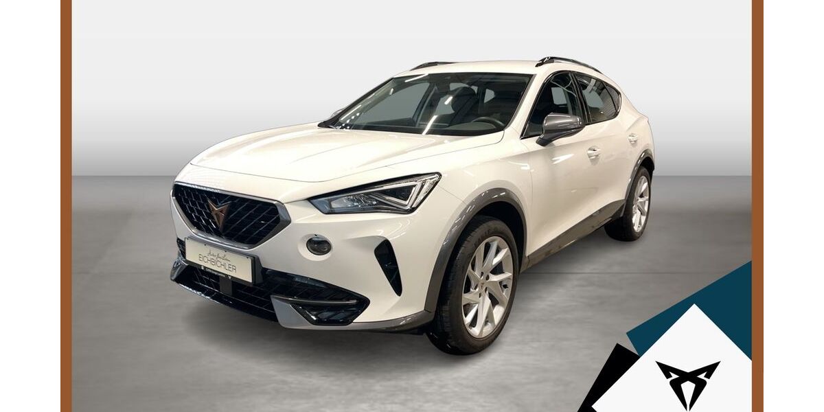 Cupra Formentor 91.226 km 20.619 &euro; Landshut 84030