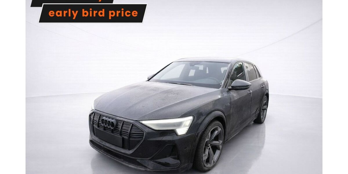 Audi e-tron 54.907 km 38.699 &euro; Ergolding 84030