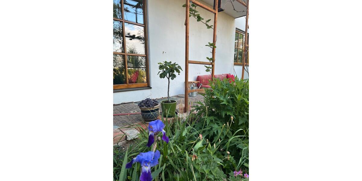 Erdgeschoßwohnung Kumhausen - 1 Zimmer, 20 m&sup2;, 400&euro; | Angebot:26626311