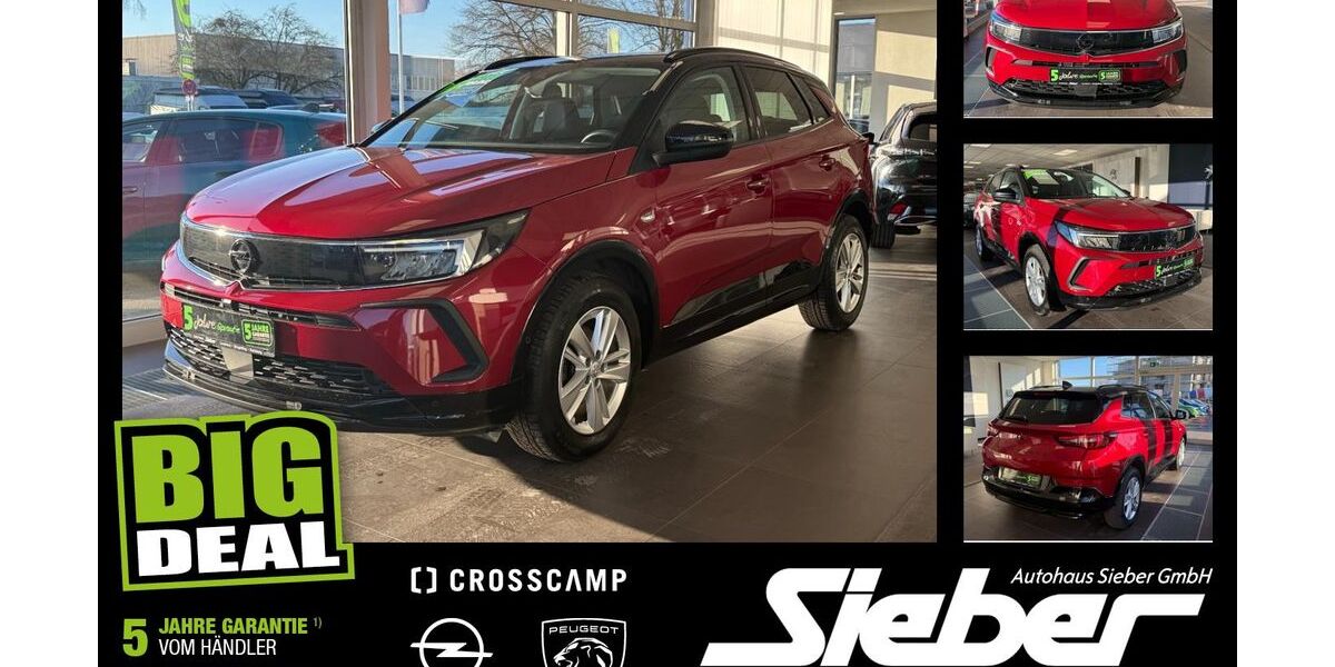 Opel Grandland (X) 81.555 km 17.990 &euro; Landshut 84034