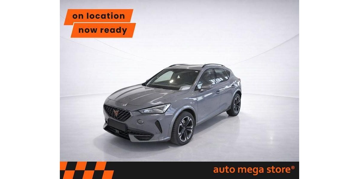 Cupra Formentor 67.463 km 22.899 &euro; Ergolding 84030