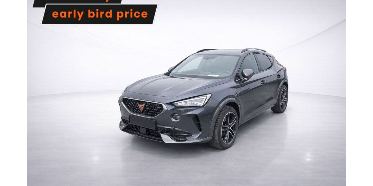 Cupra Formentor 69.523 km 22.894 &euro; Ergolding 84030