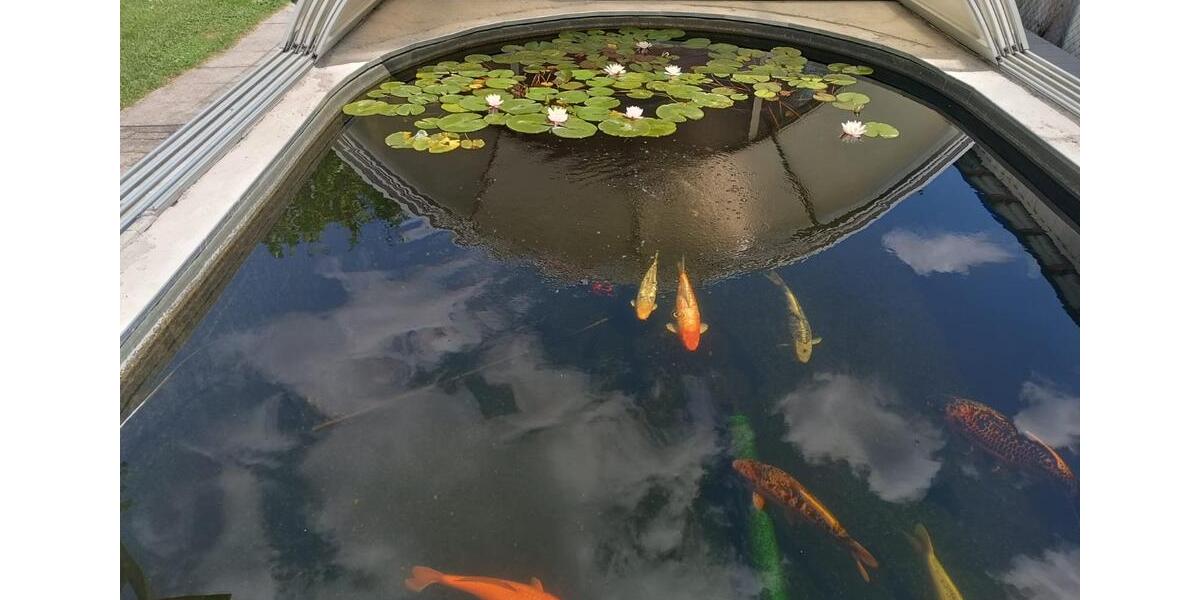 Mehrfamilienhaus, Wohnhaus Dingolfing - 930.000&euro; | Angebot:25396586