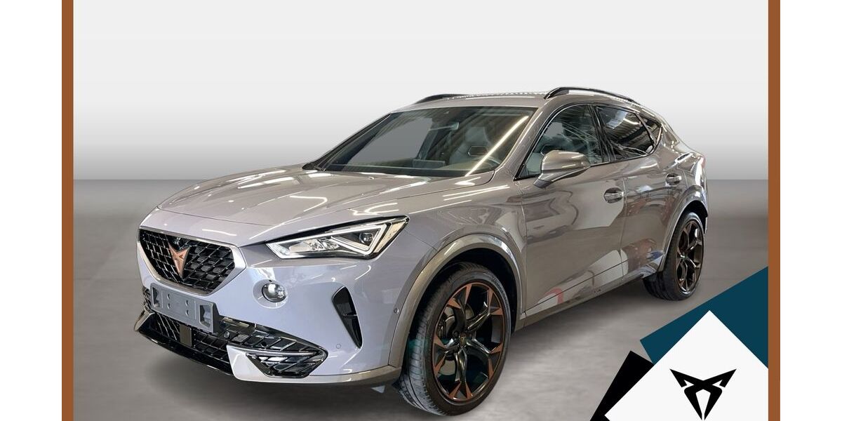 Cupra Formentor 18.334 km 29.720 &euro; Landshut 84030
