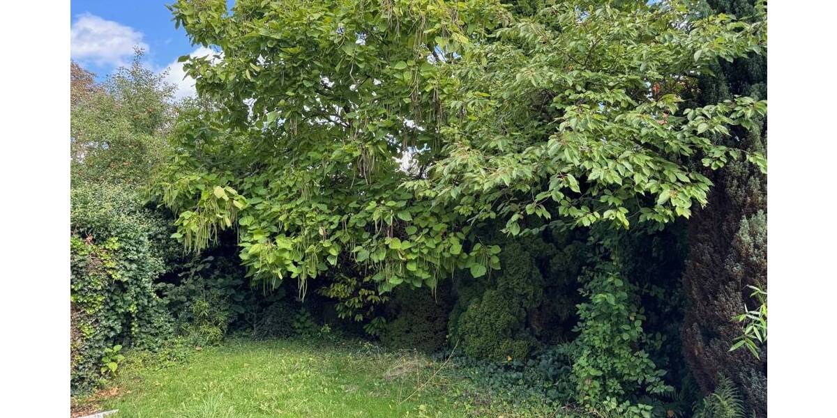 Grundstück Landshut Peter u. Paul - 1.100.000&euro; | Angebot:25779115