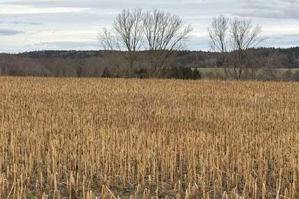 Grundstück Pfeffenhausen / Oberlauterbach Oberlauterbach - 472.032&euro; | Angebot:25252669