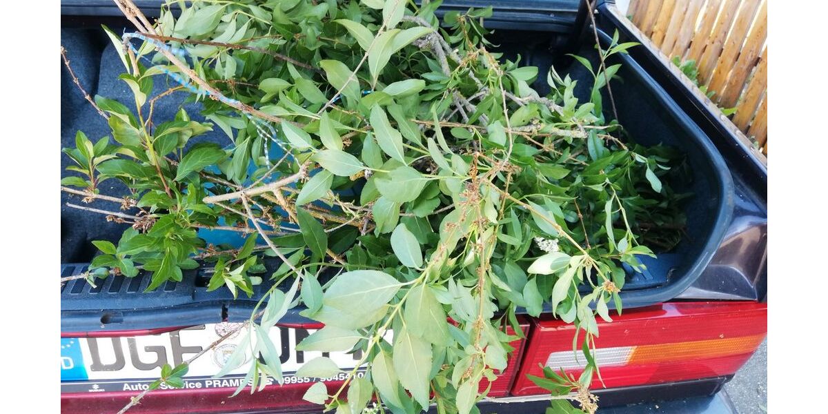 Volvo 740 144.441 km 5.900 &euro; Dingolfing 84130