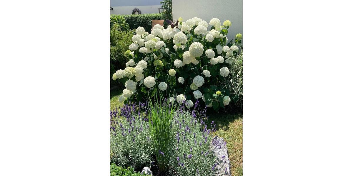 Reihenhaus Essenbach - 4 Zimmer, 101 m&sup2;, 450.000&euro; | Angebot:25959183