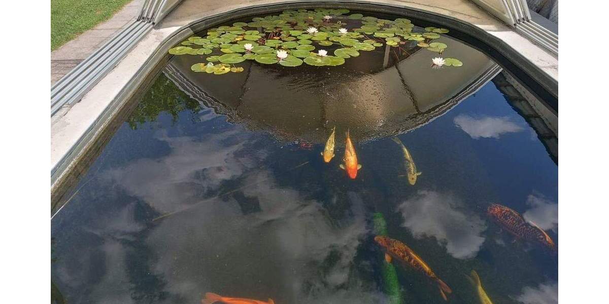 Mehrfamilienhaus, Wohnhaus Dingolfing - 6 Zimmer, 240 m&sup2;, 930.000&euro; | Angebot:25716935