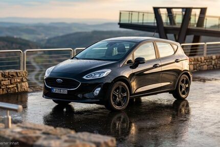 Ford Fiesta 95.000 km 9.500 &euro; Gammelsdorf 85408