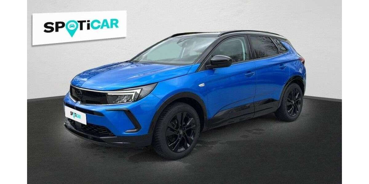 Opel Grandland X 46.675 km 22.990 &euro; Rottenburg an der Laaber 84056