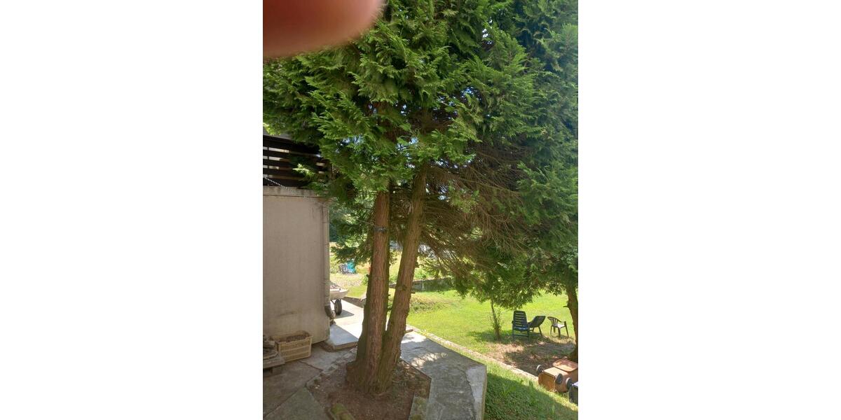 Mehrfamilienhaus, Wohnhaus Mengkofen - 5 Zimmer, 145 m&sup2;, 310.000&euro; | Angebot:24916204