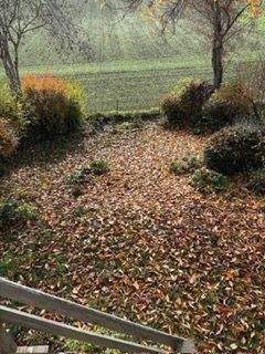 Einfamilienhaus Tiefenbach - 5 Zimmer, 160 m&sup2;, 1.600&euro; | Angebot:25815953