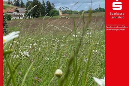 Sonstige Kröning - 899.000&euro; | Angebot:25549019