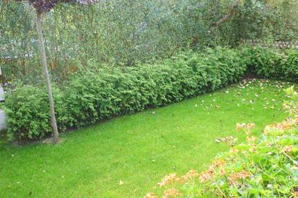 Haus Nandlstadt - 5 Zimmer, 166 m&sup2;, 649.000&euro; | Angebot:25760708