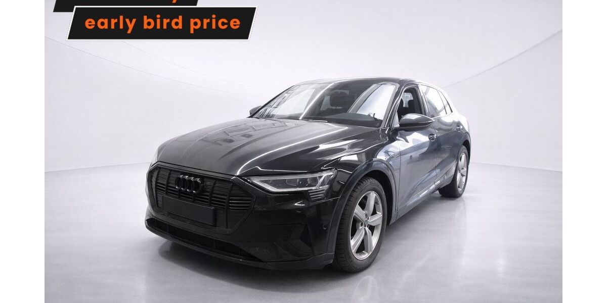 Audi e-tron 33.646 km 30.199 &euro; Ergolding 84030