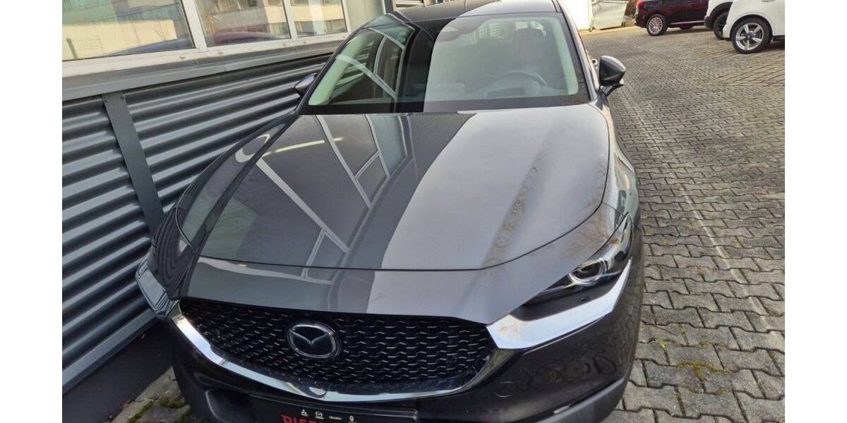 Mazda CX-30 15.940 km 27.990 &euro; Landshut 84030