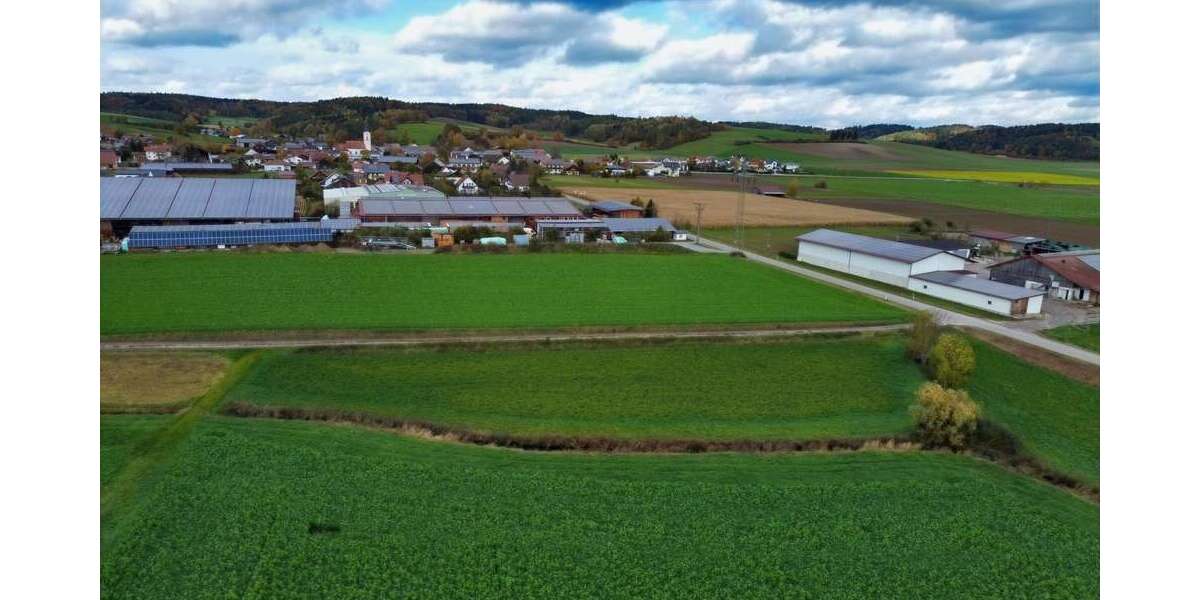 Sonstige Moosthenning - 40.848&euro; | Angebot:25196542