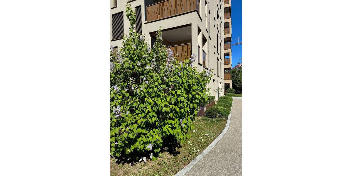 Etagenwohnung Landshut Nikola - 2 Zimmer, 71 m&sup2;, 440.000&euro; | Angebot:26475748