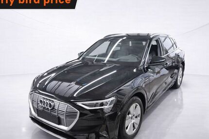 Audi e-tron 66.899 km 33.349 &euro; Ergolding 84030