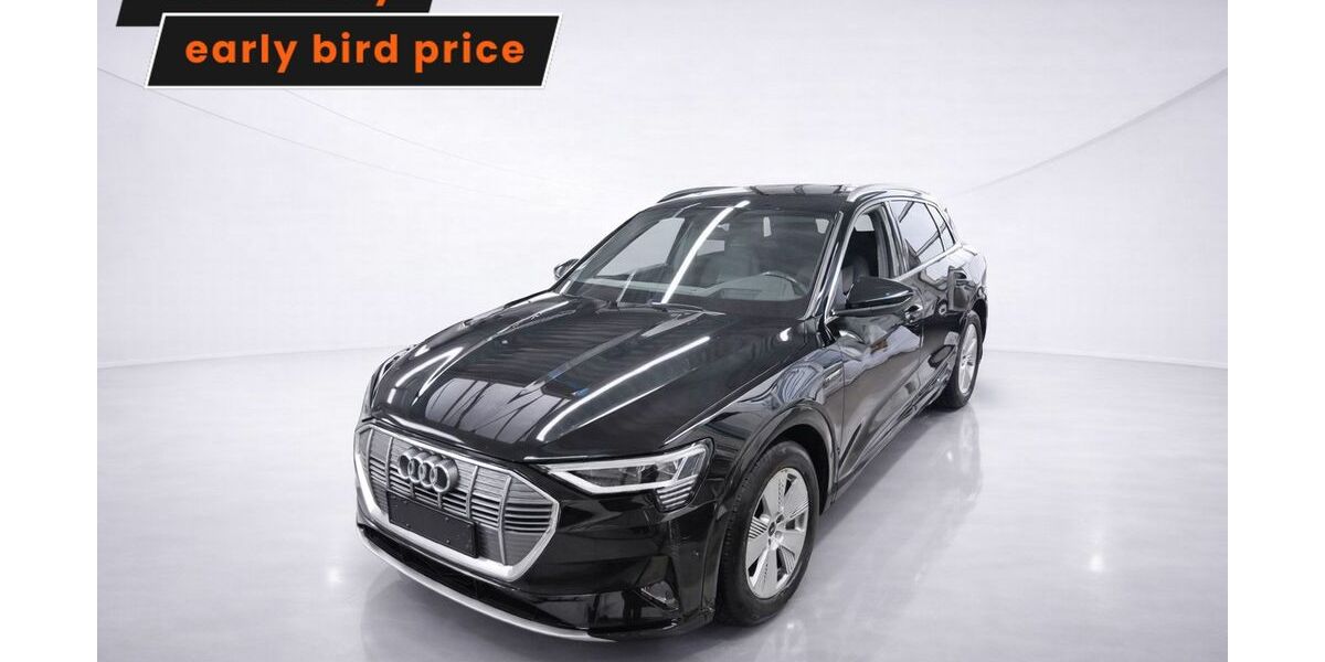 Audi e-tron 66.899 km 33.349 &euro; Ergolding 84030